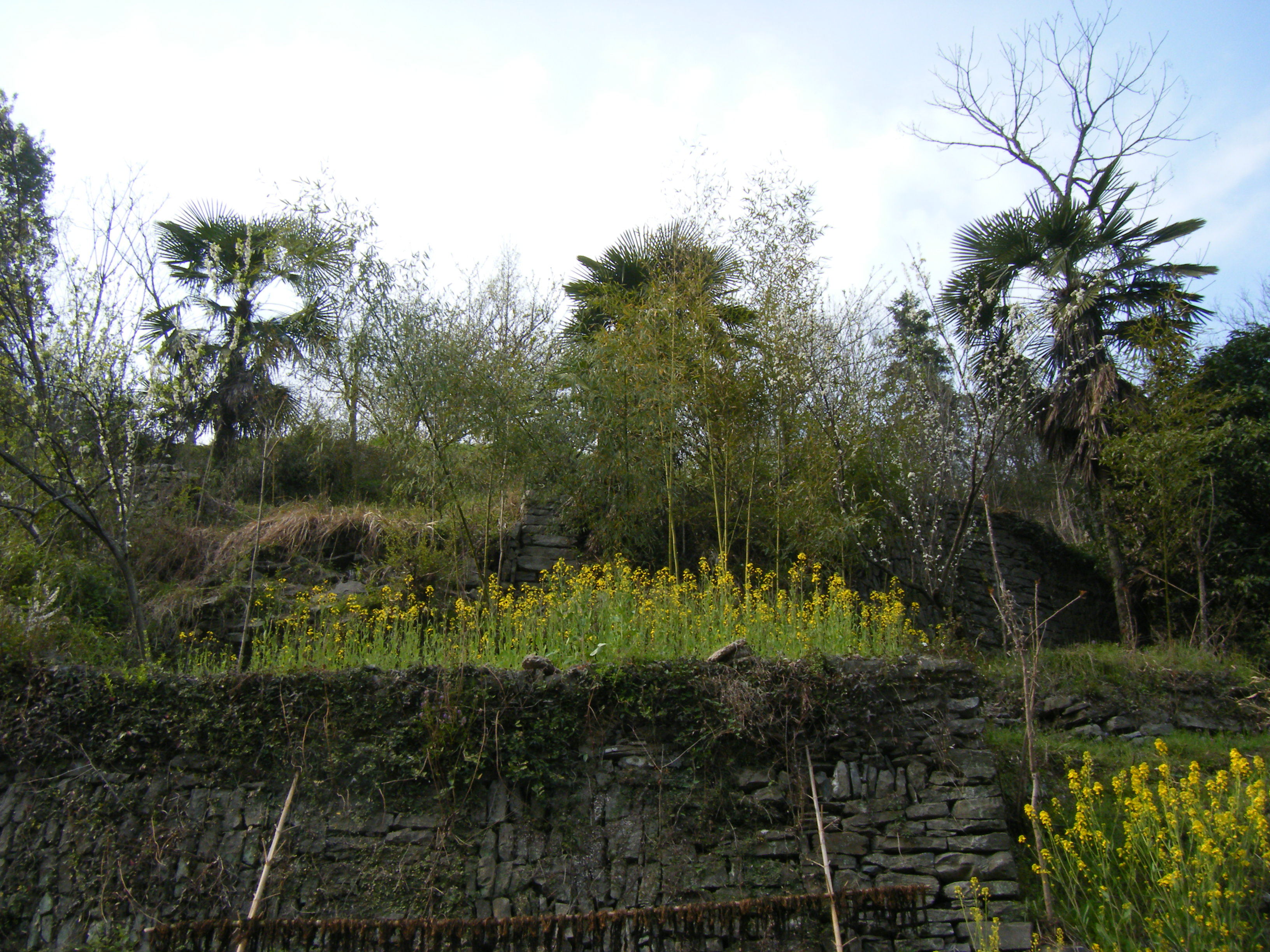 辛卯徽州行 029.jpg