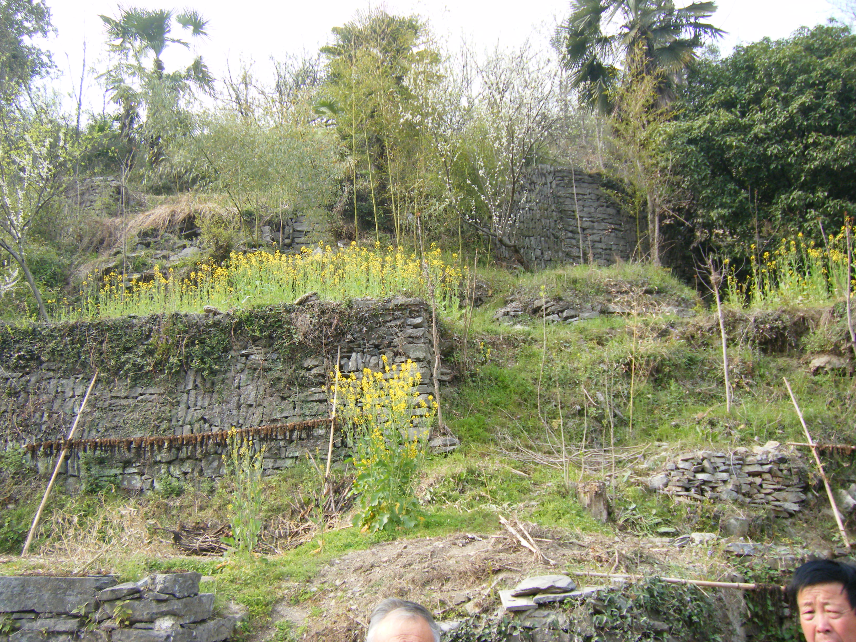 辛卯徽州行 027.jpg