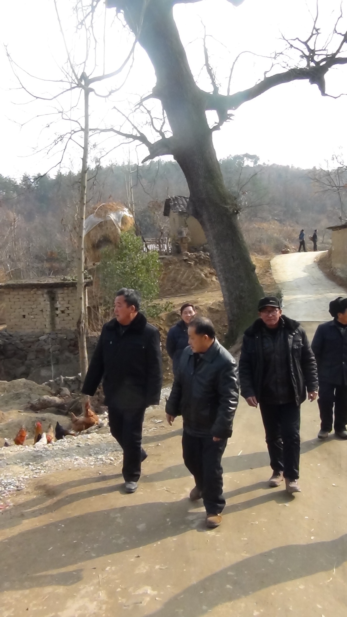 下午到罗田汪氏居住地-----圣人垸