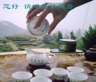 请喝一杯铁观音茶叶.jpg