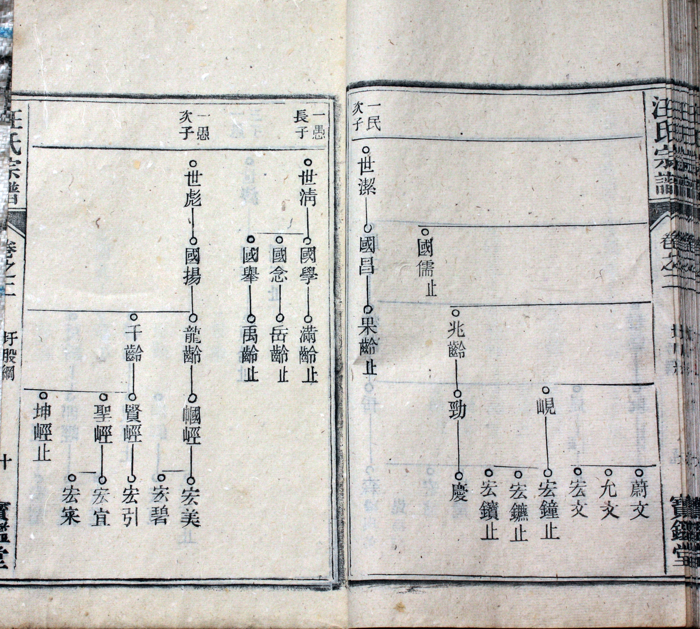 圩股派世系图 10