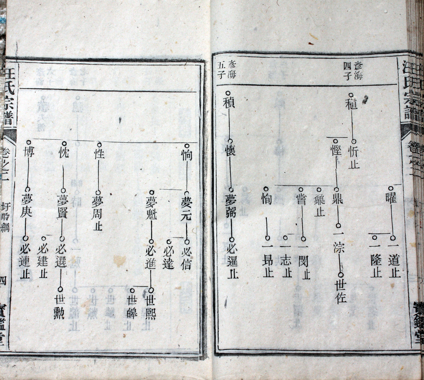 圩股派世系图［泰和堂］4