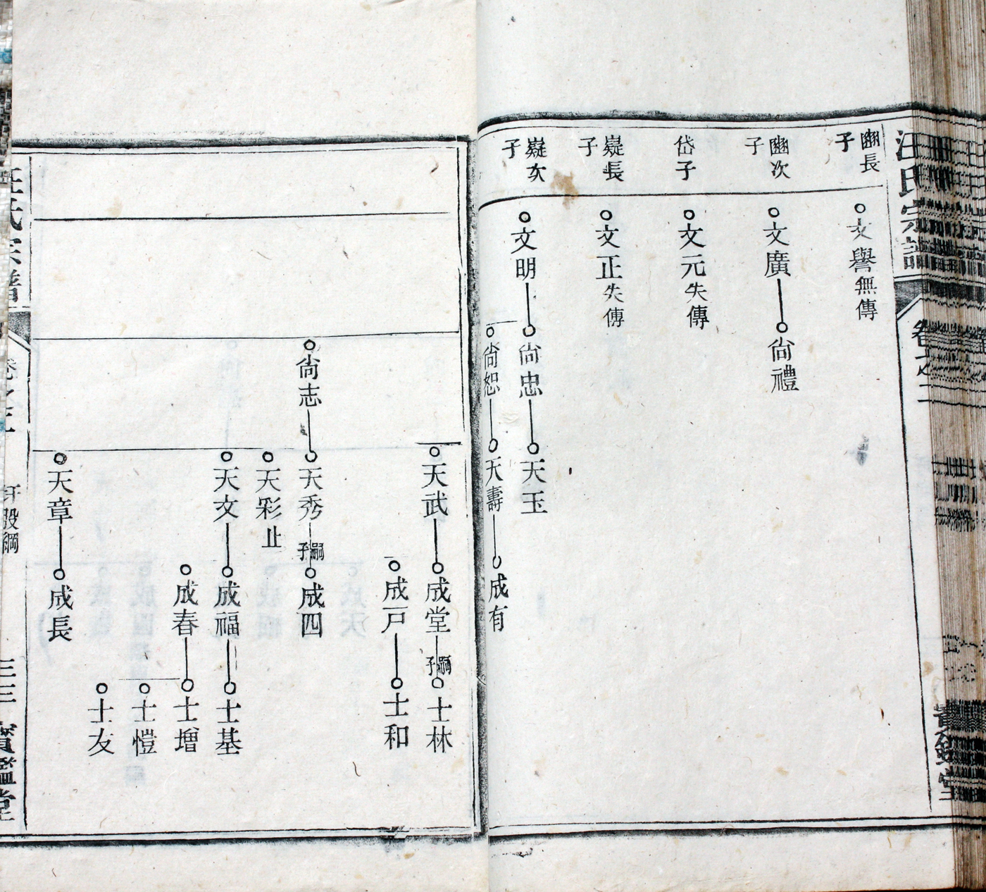 圩股派世系图 33