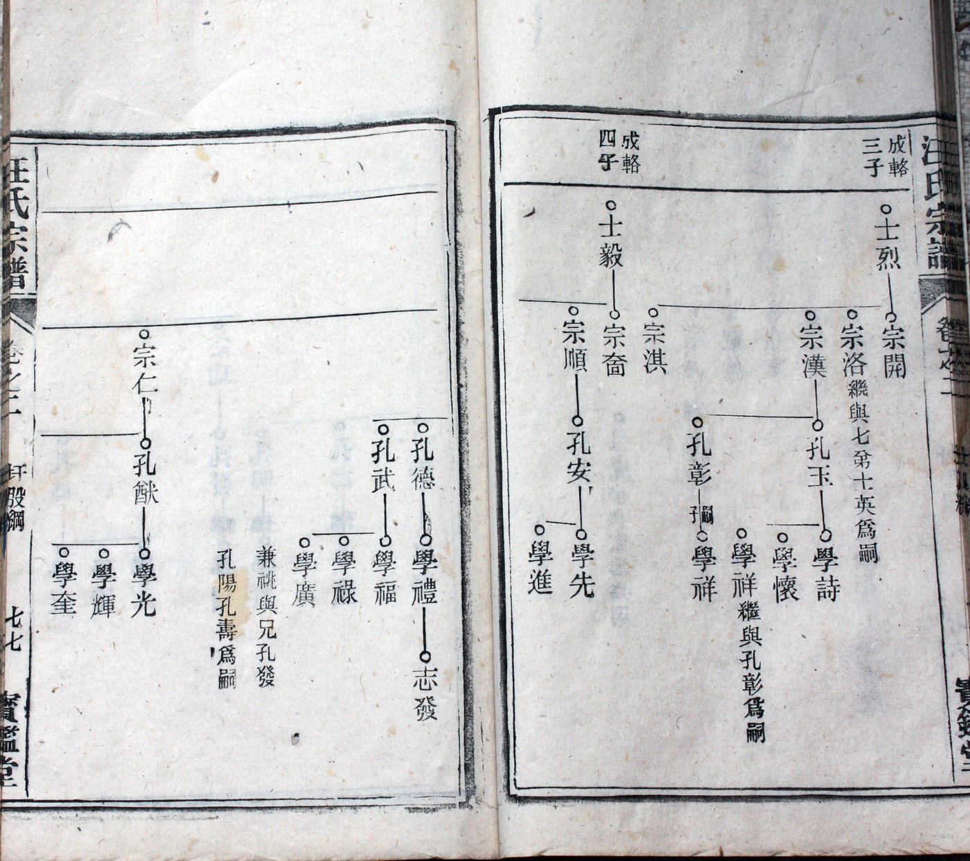 圩股派世系图 77
