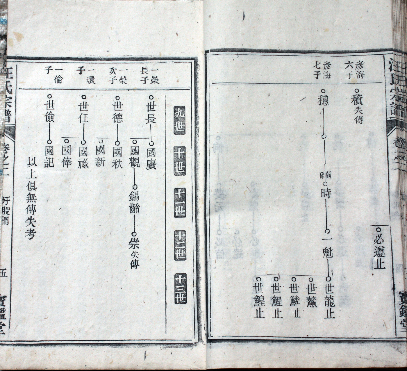 圩股派世系图［泰和堂］5