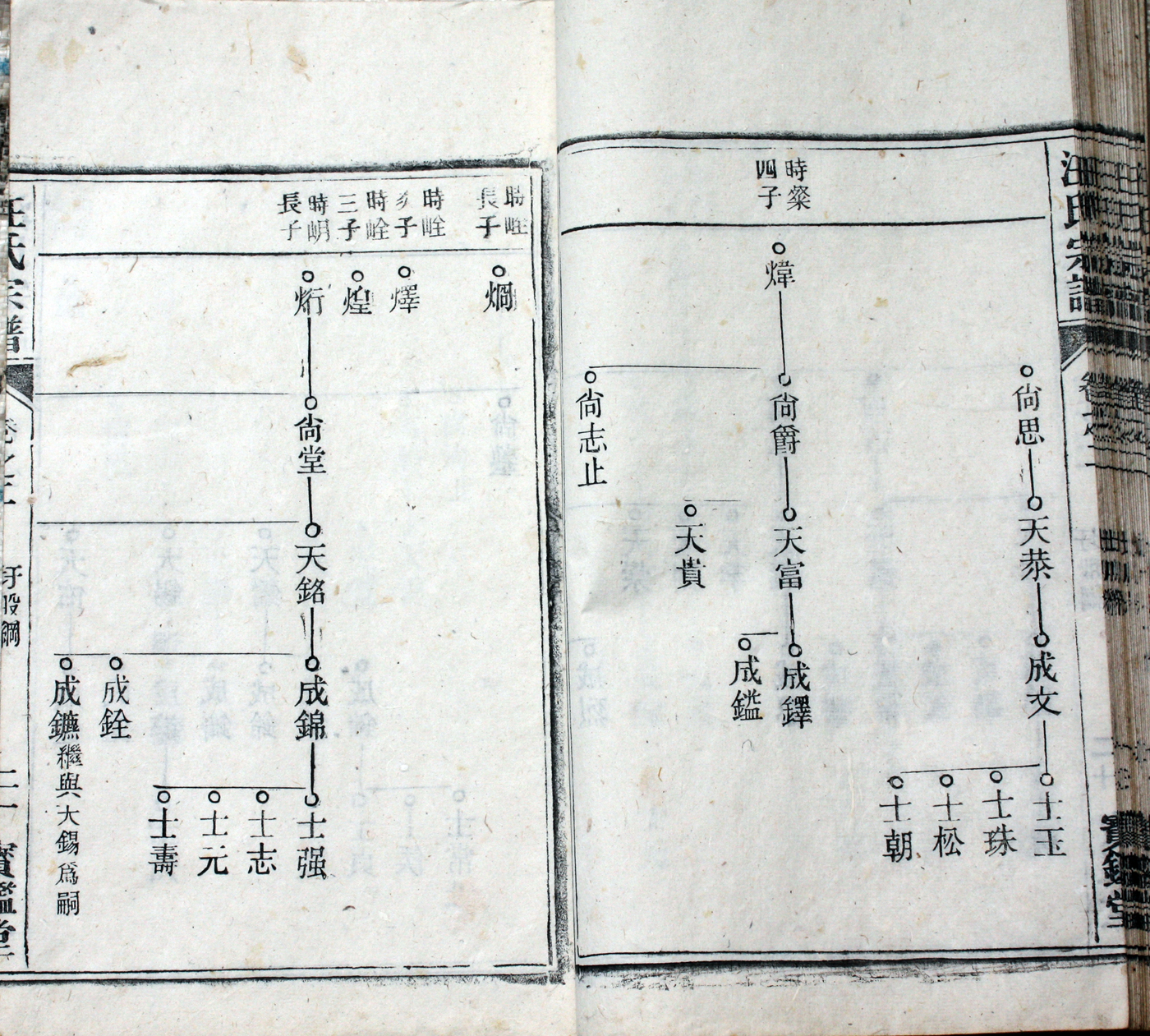 圩股派世系图 21