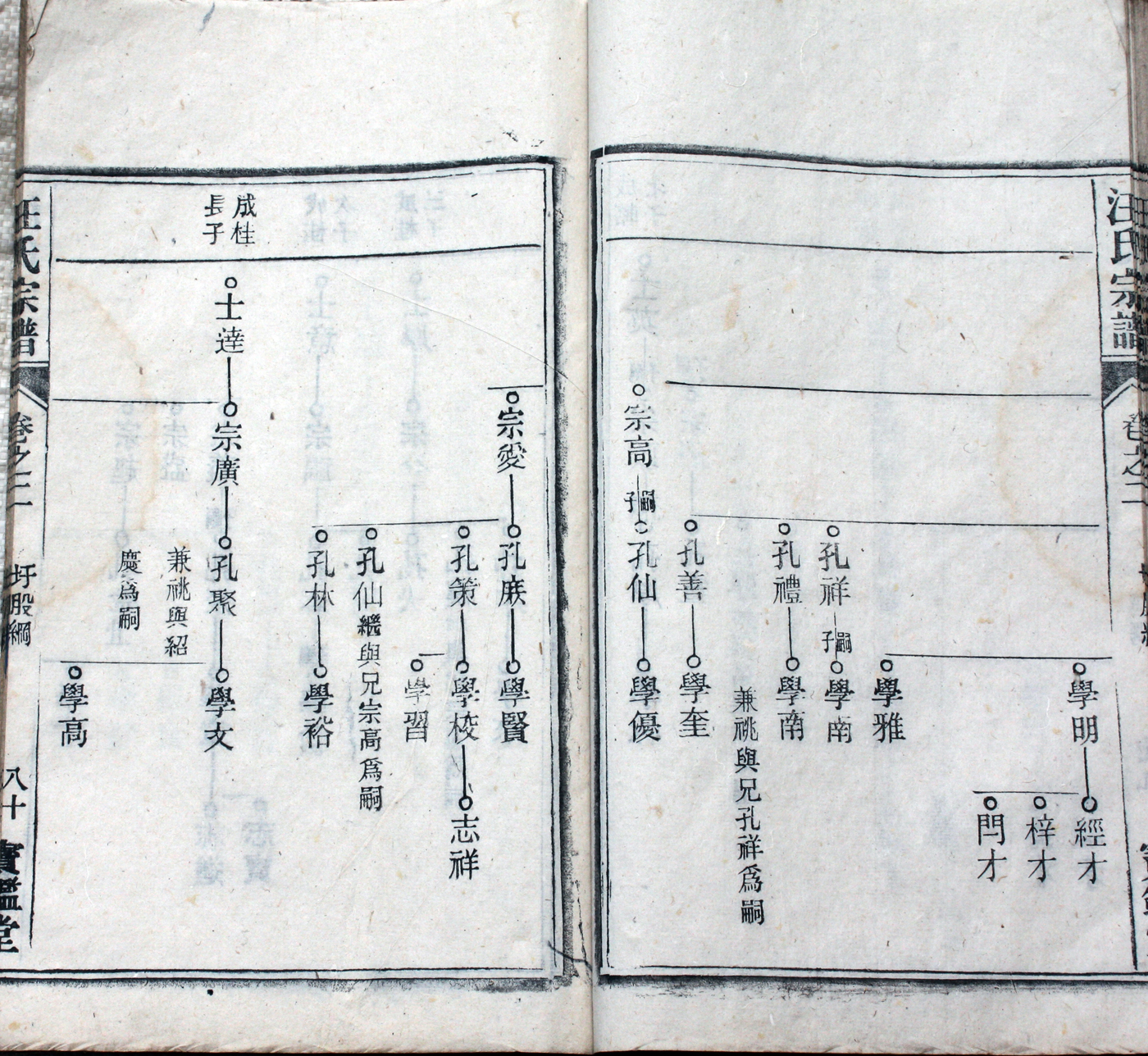 圩股派世系图80