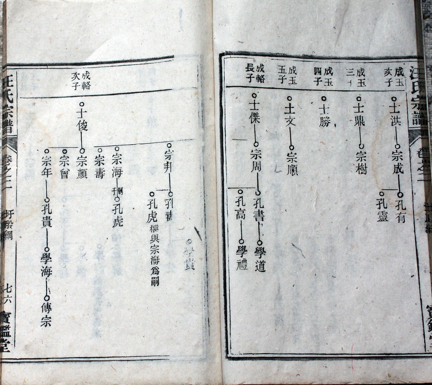 圩股派世系图 76
