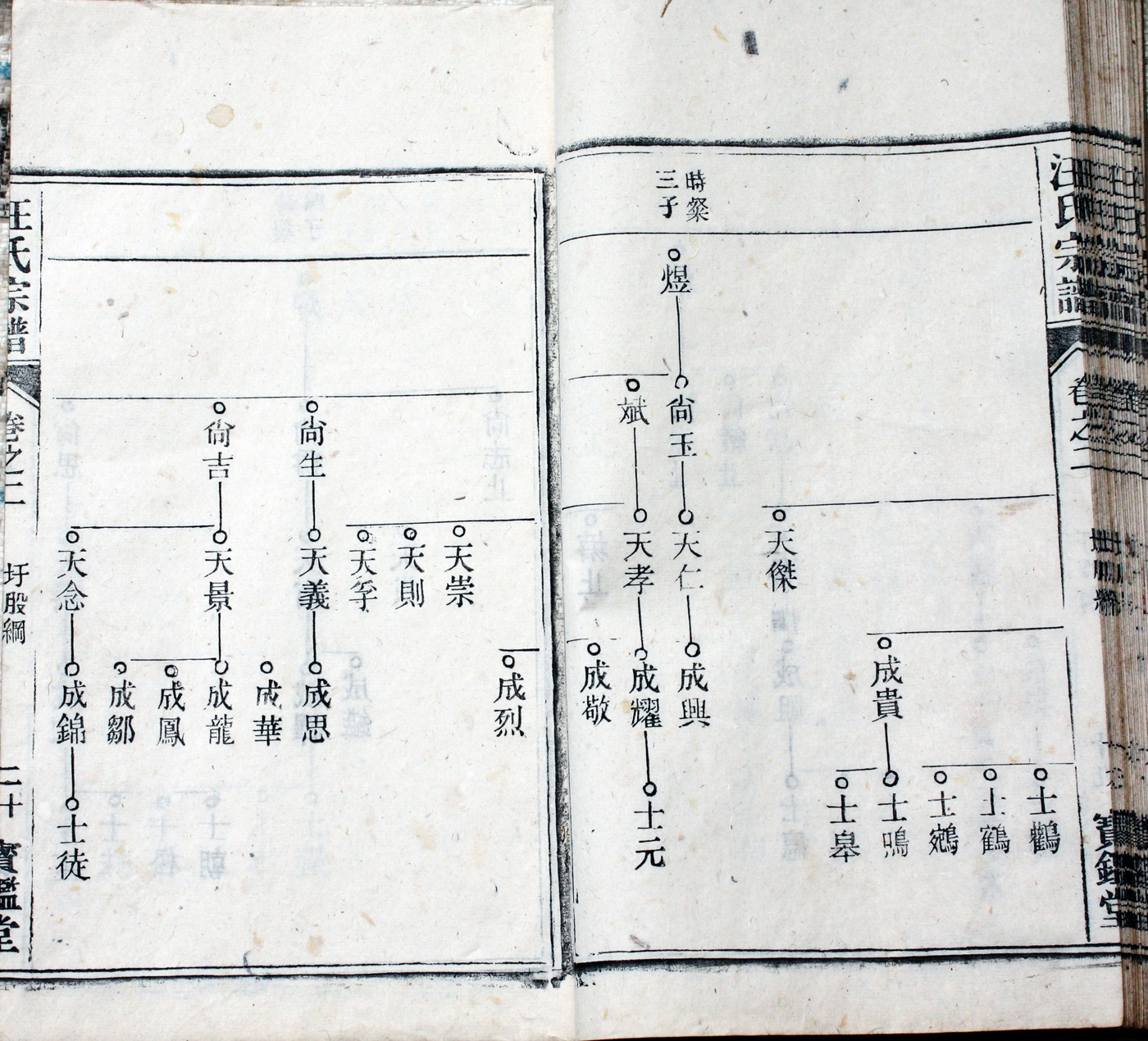圩股派世系图 20