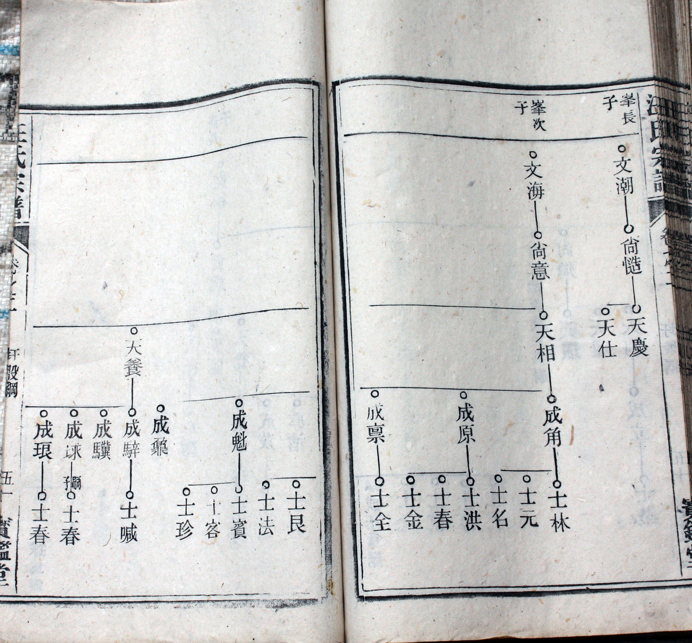 圩股派世系图 51