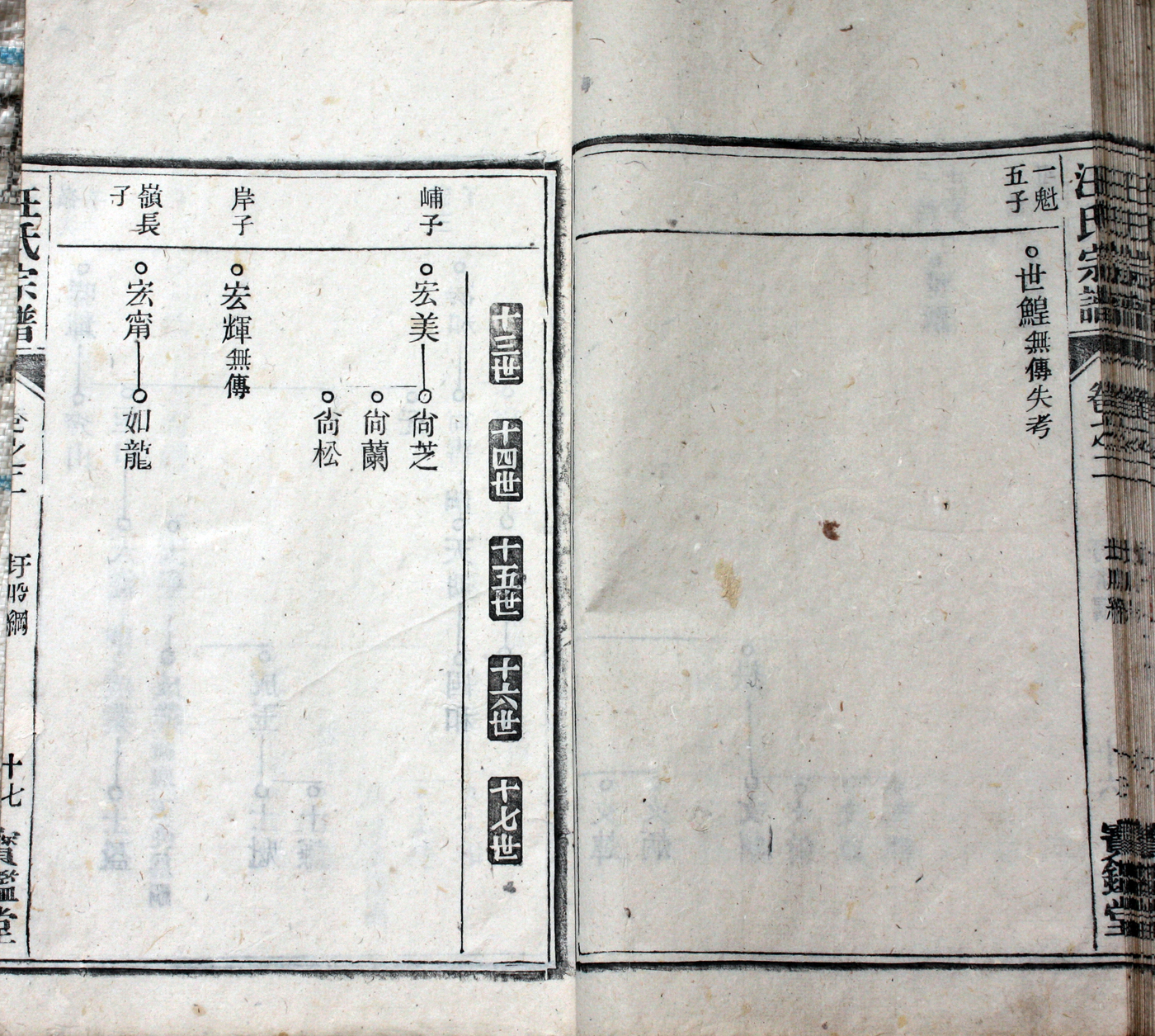 圩股派世系图 17