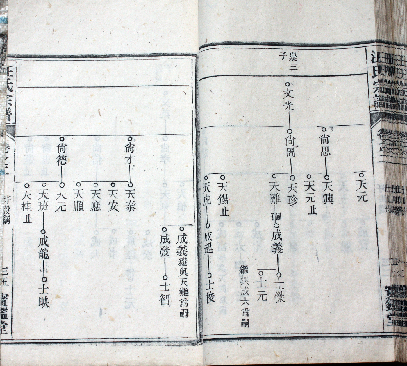 圩股派世系图 35