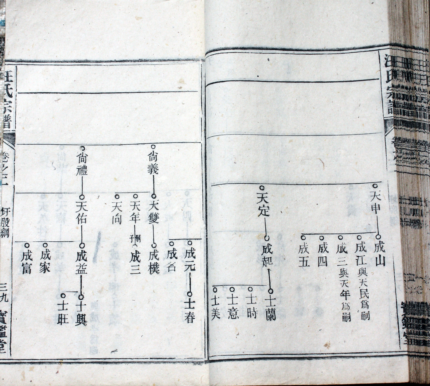 圩股派世系图 39