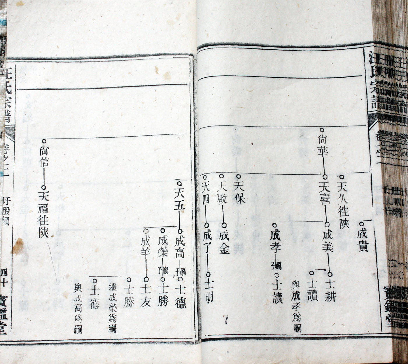 圩股派世系图 40