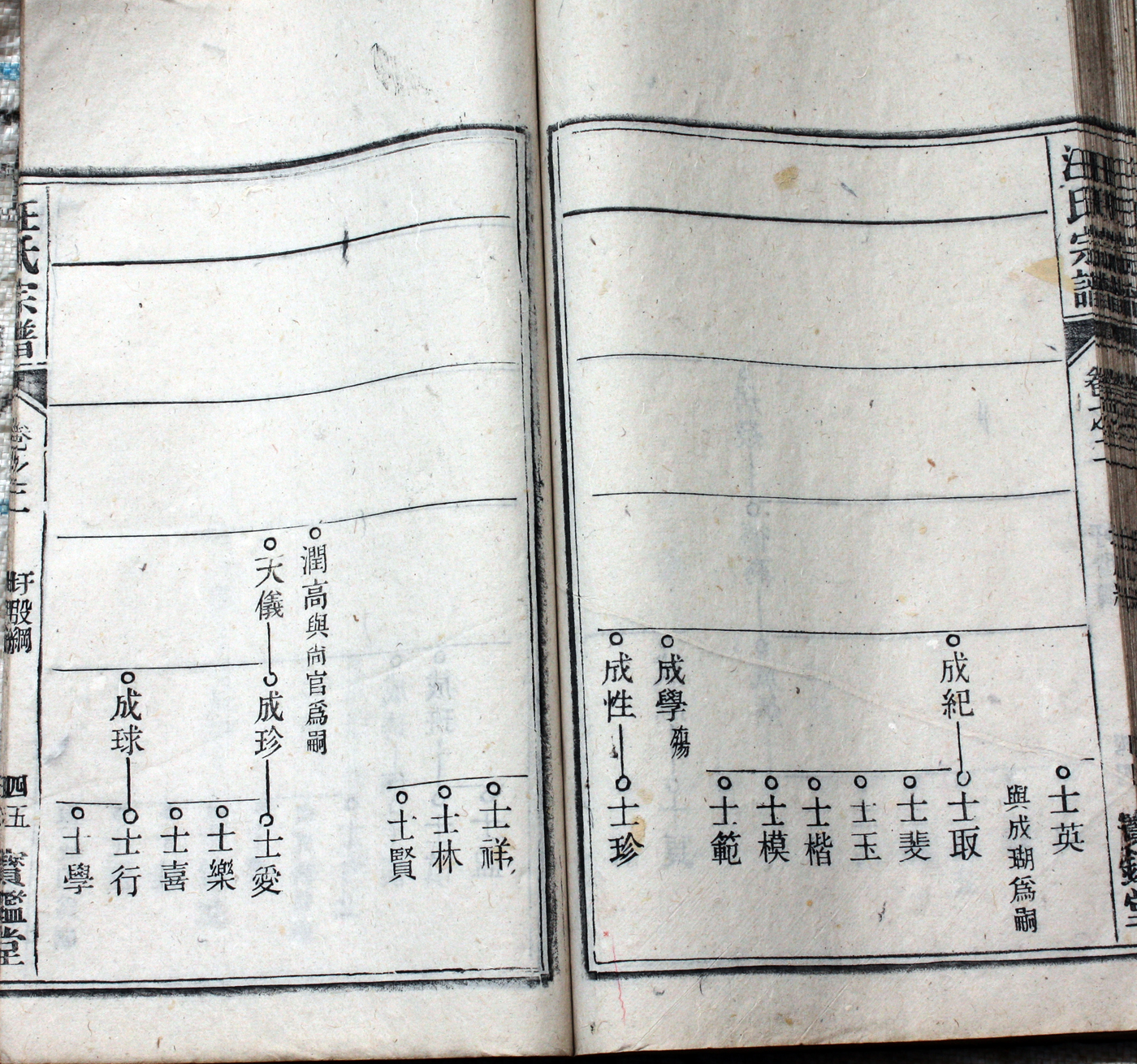 圩股派世系图 45