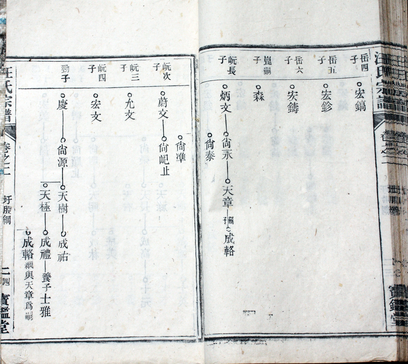 圩股派世系图 24