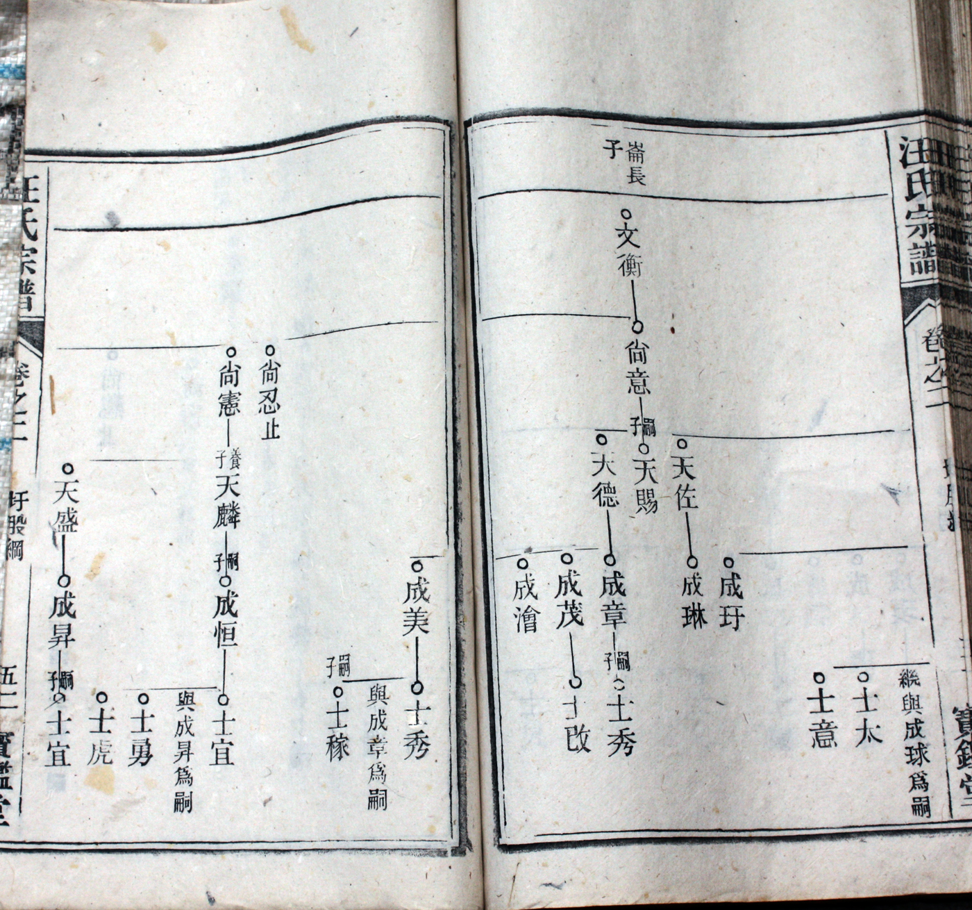 圩股派世系图 52