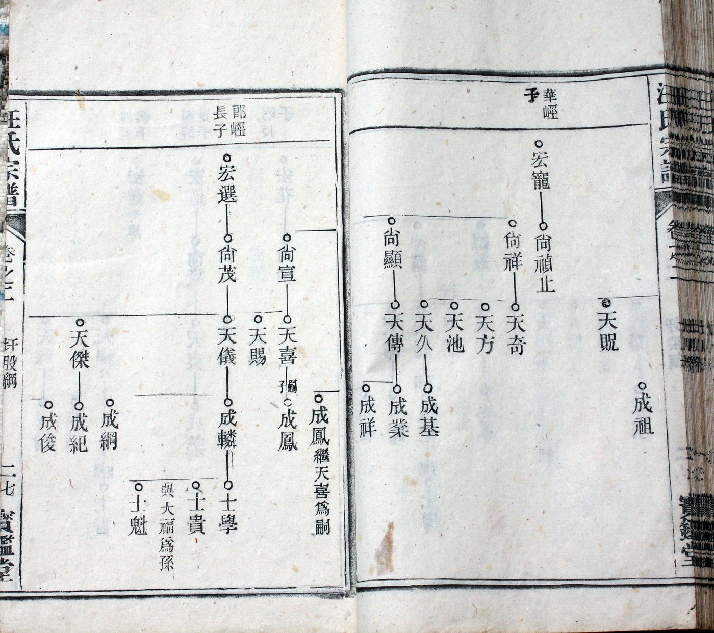 圩股派世系图 27