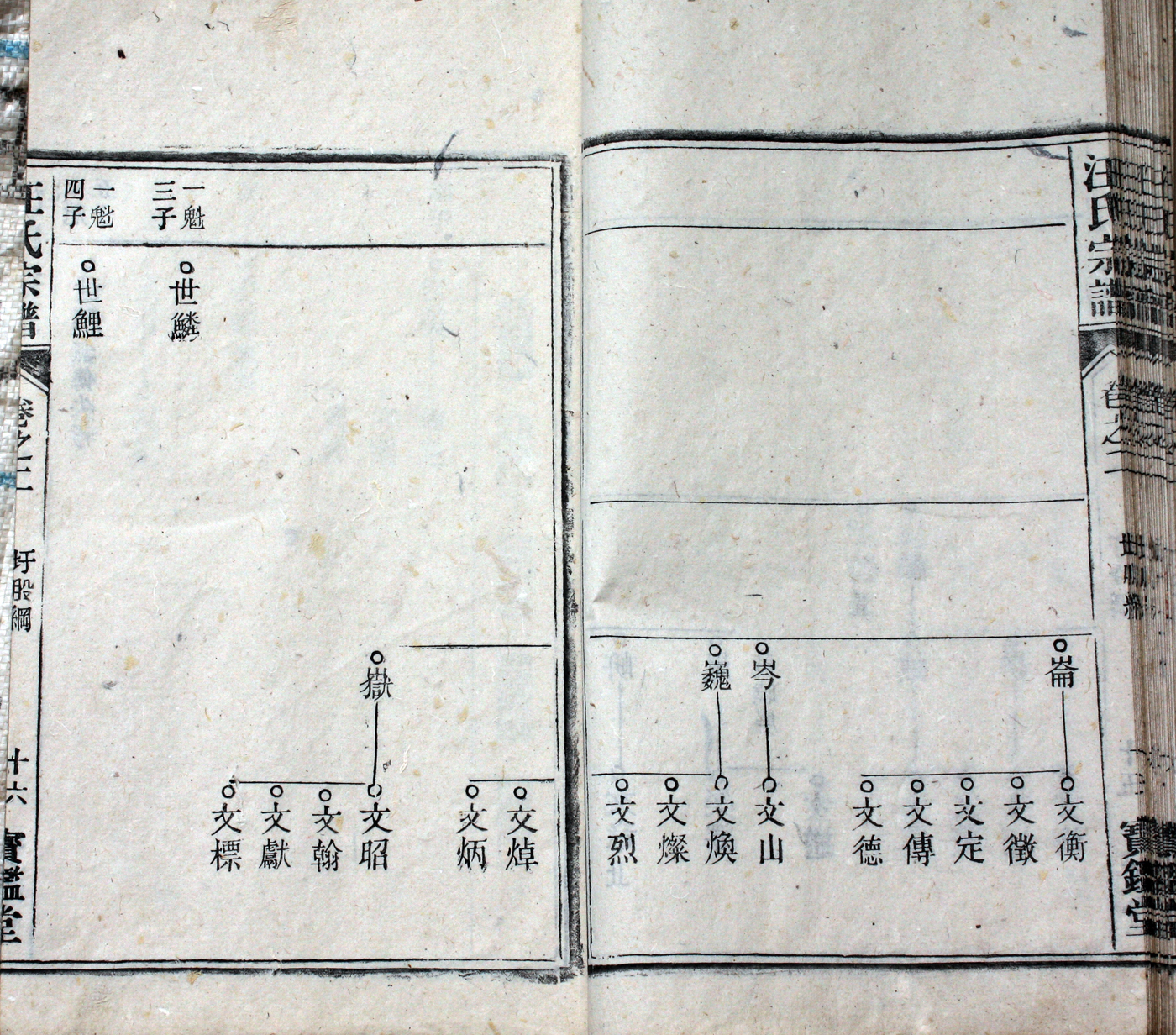 圩股派世系图 16