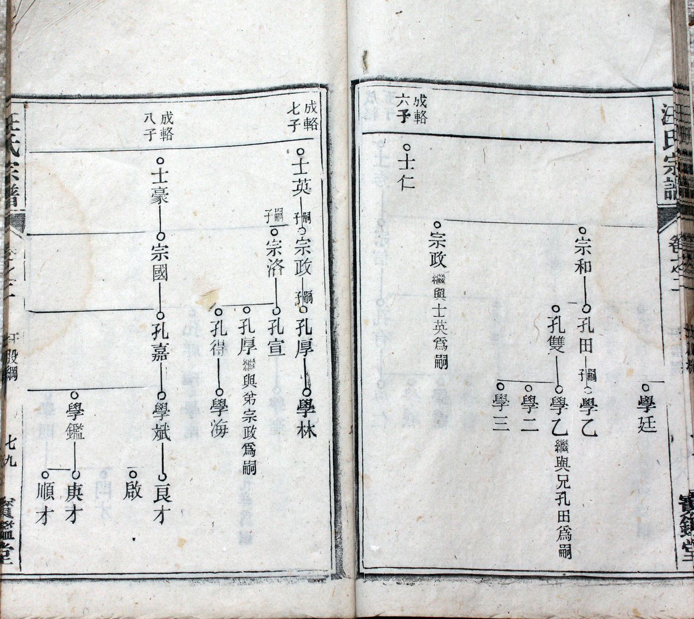 圩股派世系图 79