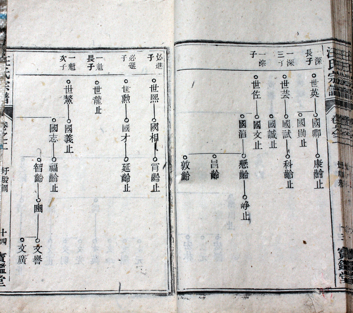 圩股派世系图 14