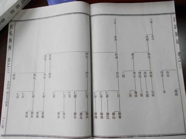 调整大小 DSCN0617.JPG