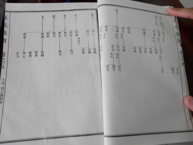 调整大小 DSCN0641.JPG