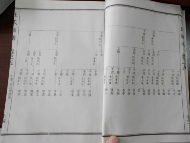 调整大小 DSCN0634.JPG