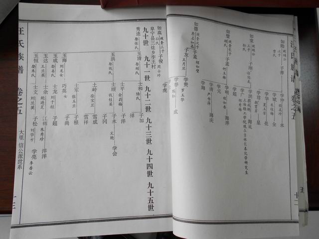 调整大小 DSCN0633.JPG