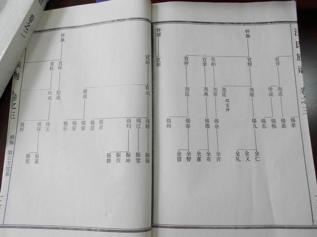 调整大小 DSCN0607.JPG