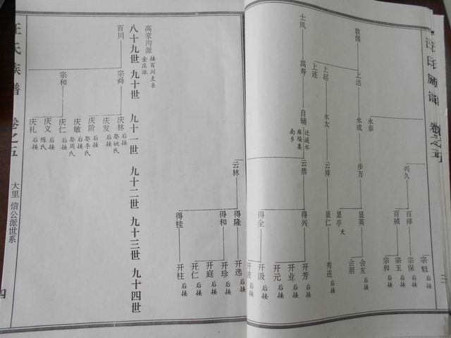 调整大小 DSCN0624.JPG