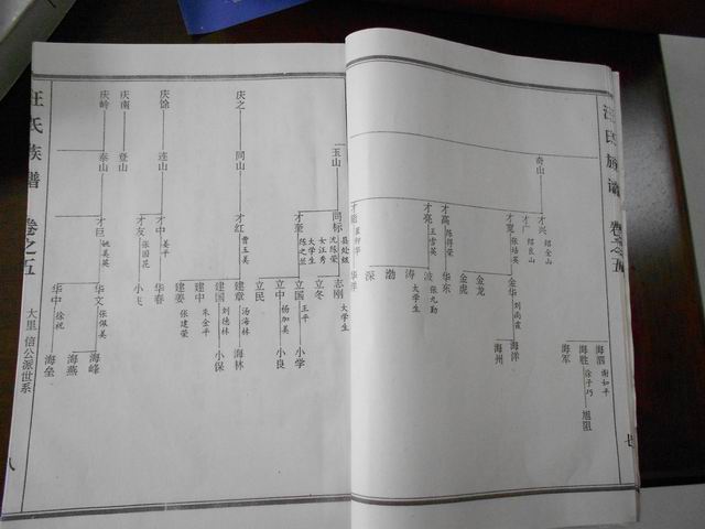 调整大小 DSCN0628.JPG