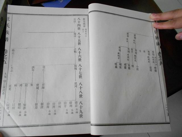 调整大小 DSCN0646.JPG