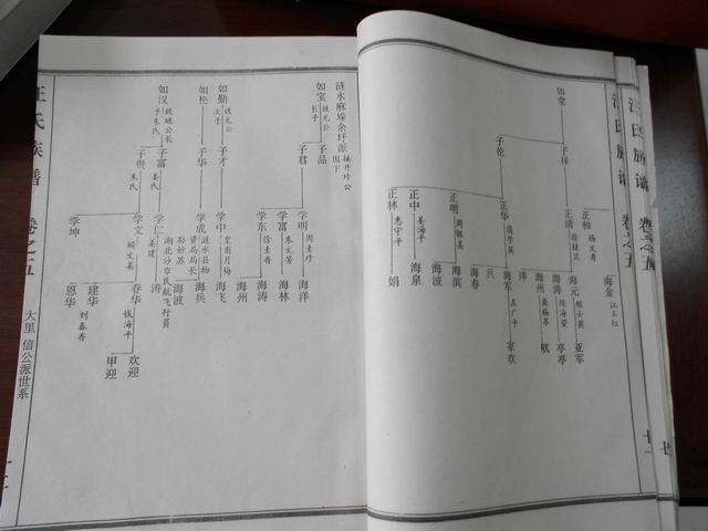 调整大小 DSCN0632.JPG