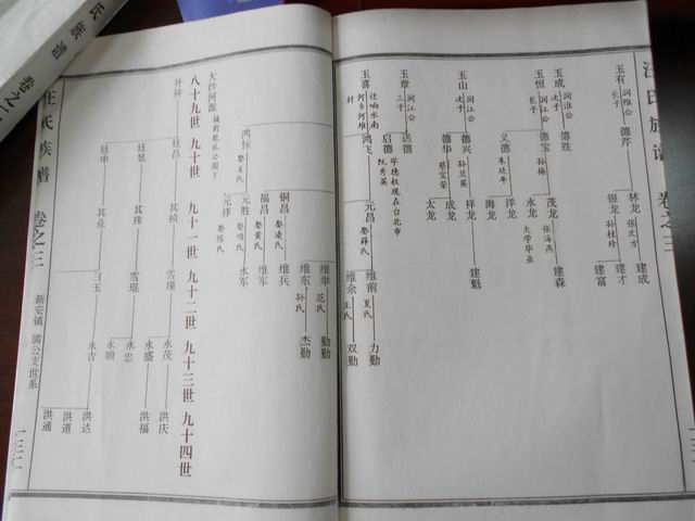 调整大小 DSCN0615.JPG