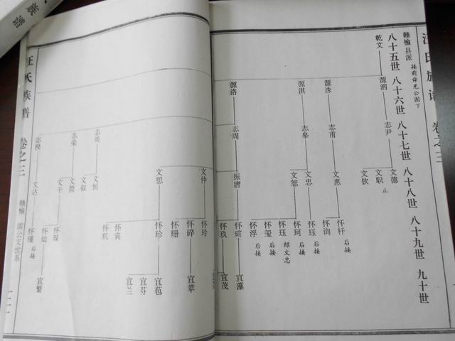 调整大小 DSCN0603.JPG