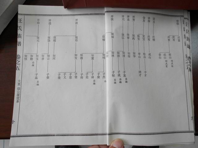 调整大小 DSCN0630.JPG