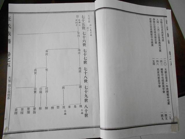 调整大小 DSCN0621.JPG