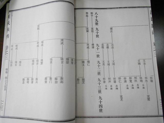 调整大小 DSCN0605.JPG