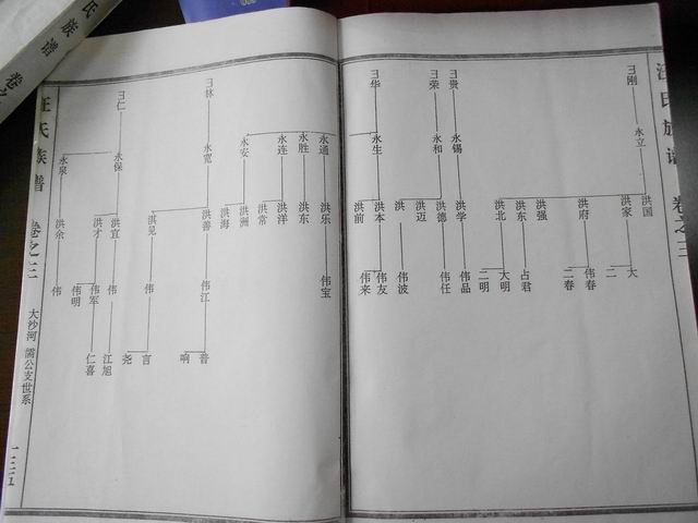 调整大小 DSCN0618.JPG