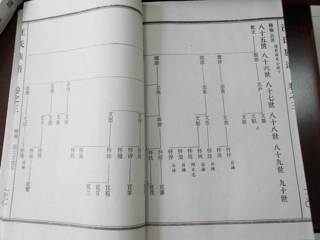 调整大小 DSCN0602.JPG