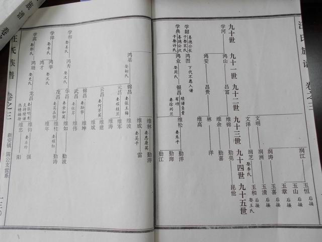 调整大小 DSCN0613.JPG