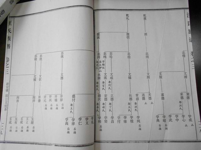 调整大小 DSCN0611.JPG