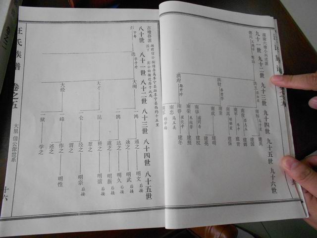 调整大小 DSCN0636.JPG