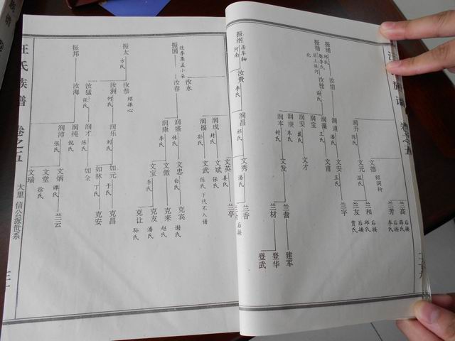 调整大小 DSCN0650.JPG