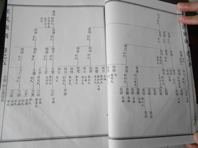 调整大小 DSCN0649.JPG