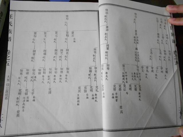 调整大小 DSCN0648.JPG