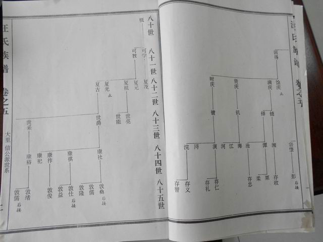 调整大小 DSCN0622.JPG