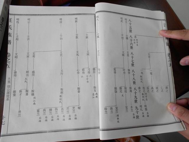 调整大小 DSCN0637.JPG