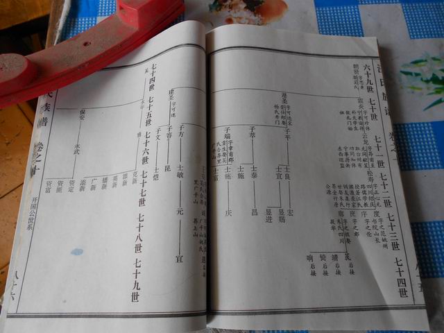 调整大小 照片 007.jpg